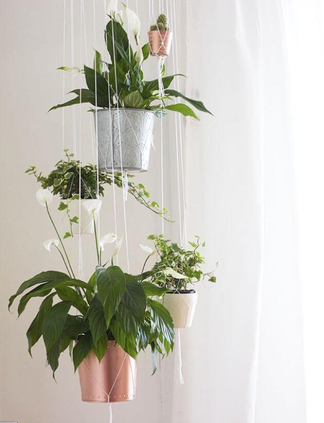 Hang Plants From The Ceiling