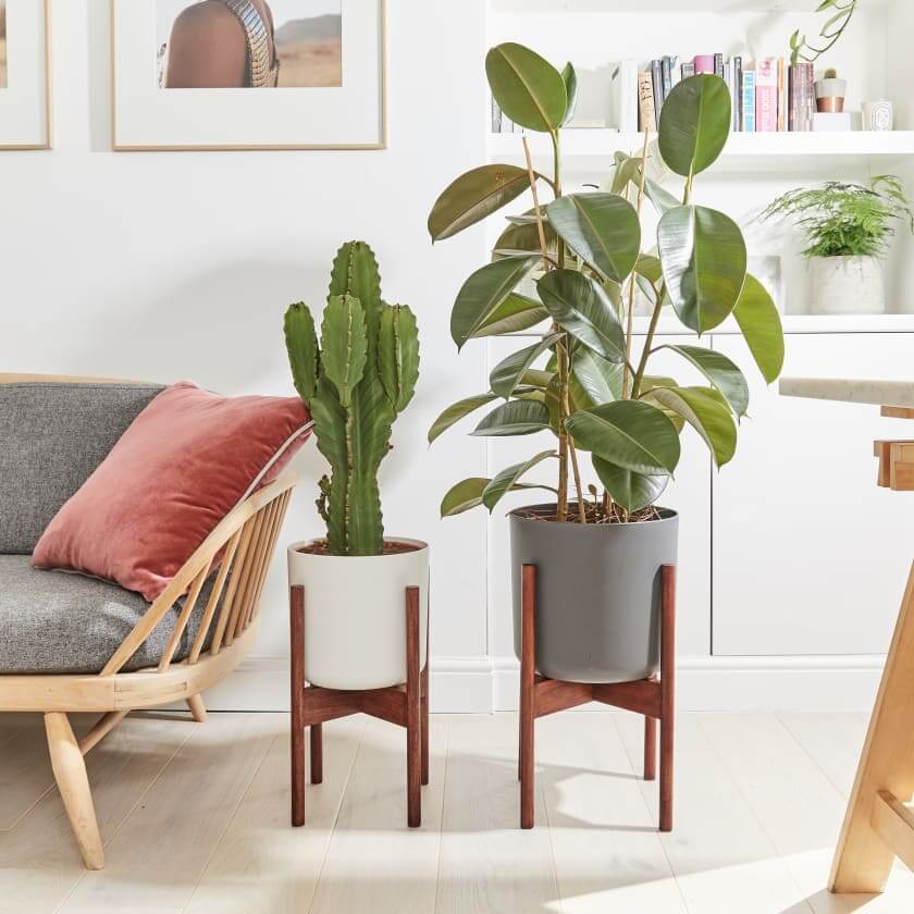 Contemporary Wooden Plant Stand
