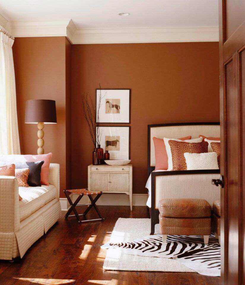 Earthy Brown Tones for Walls